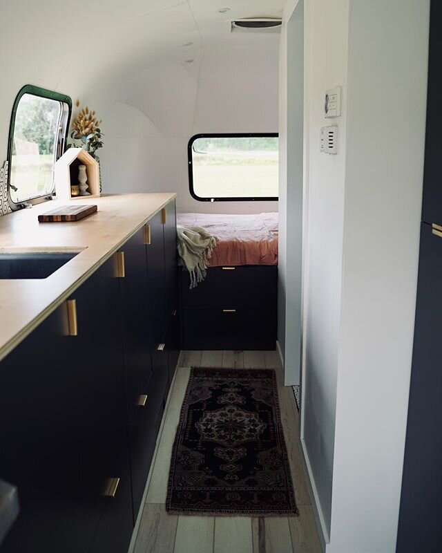 Each project I say “this is my new favorite project!” But it’s so true... this is officially my favorite project. 🥰 we pulled out the argosy today bathed it & took some pictures 😍 I can’t wait to show y’all the res