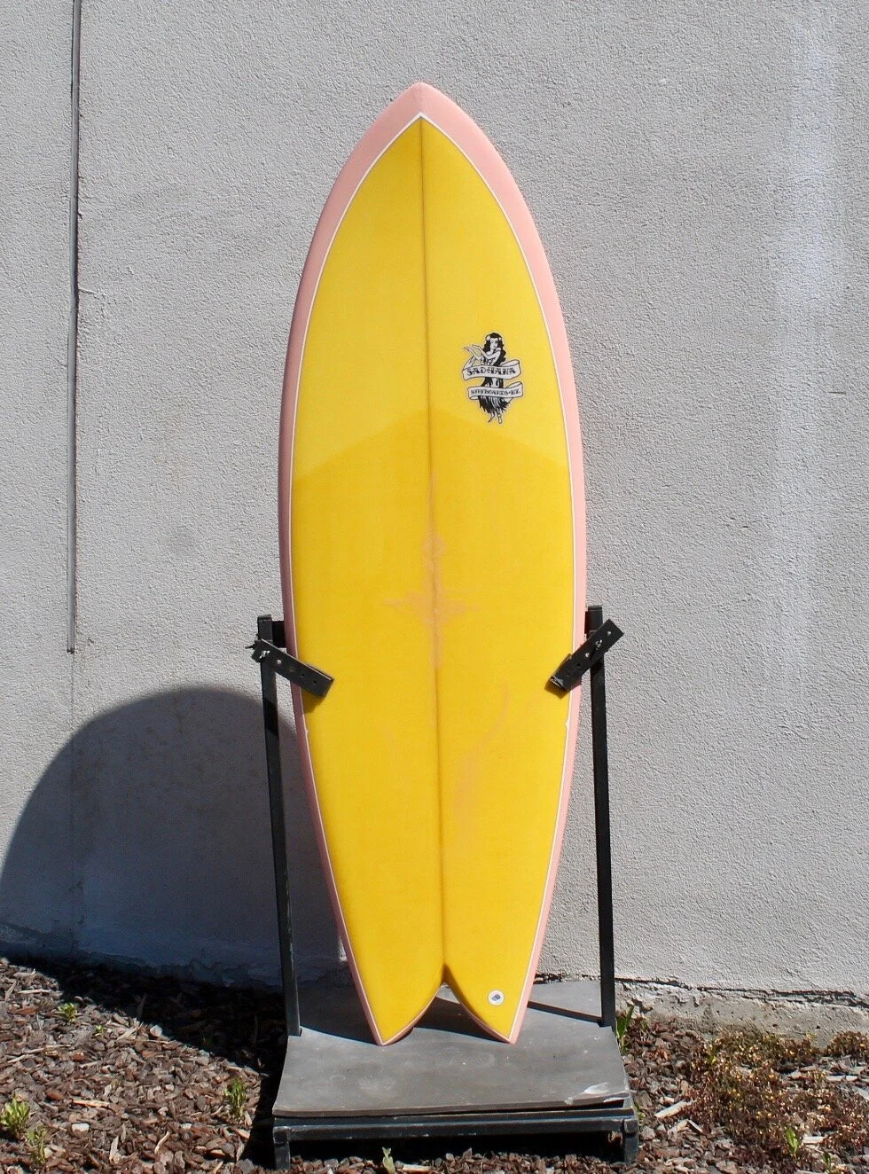 5'7" South Island Fish 