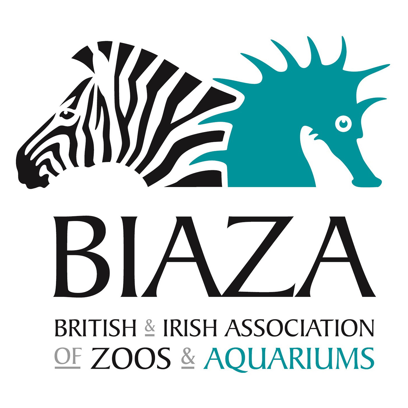 biaza (1).png