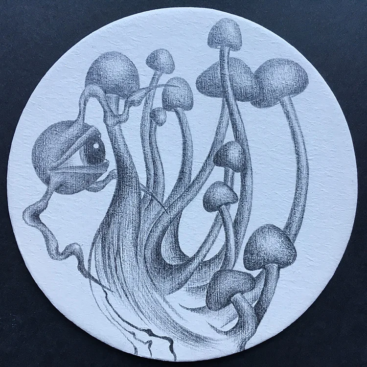 TENDING THE ENOKI II