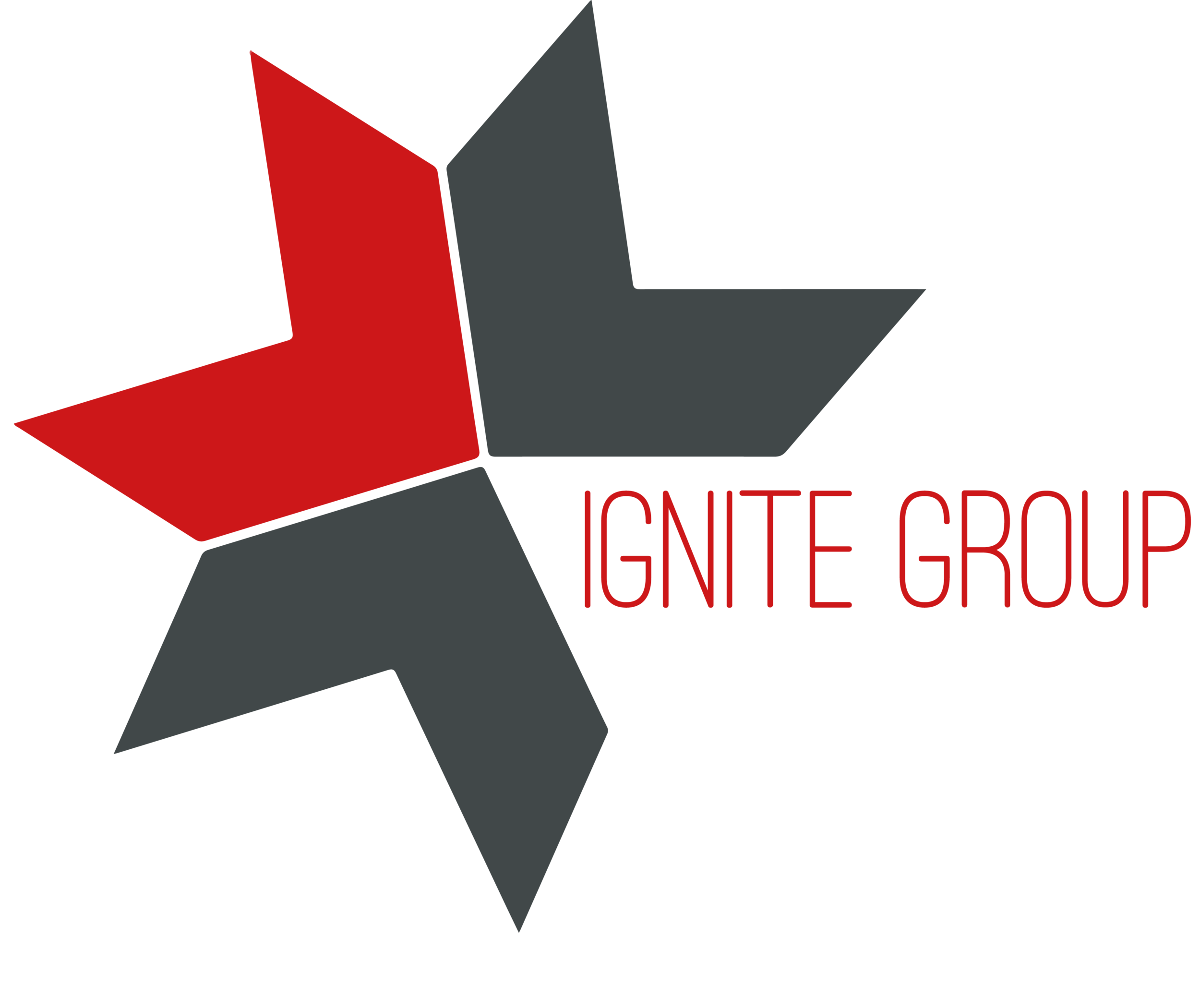 Ignite Groups