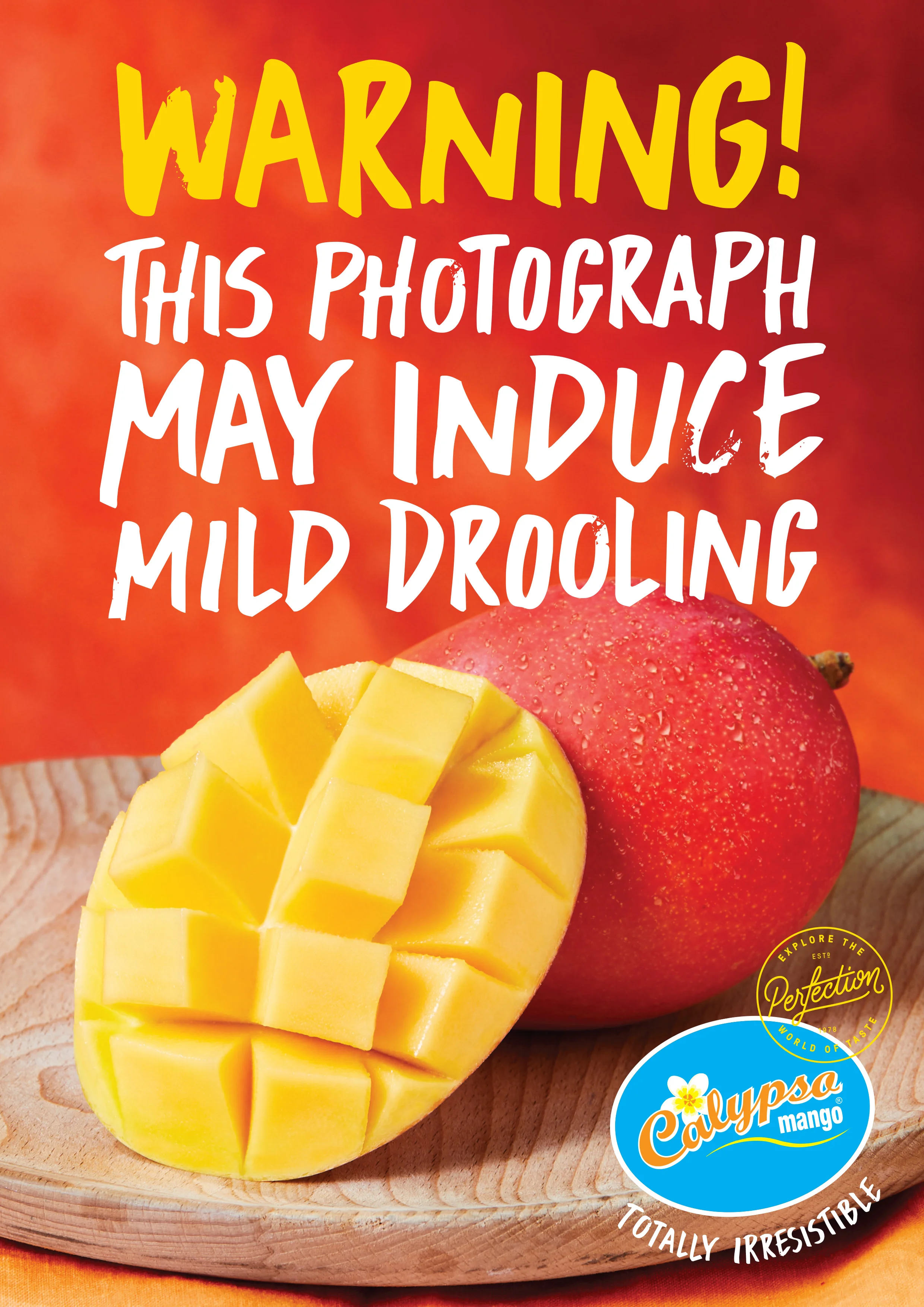 Calypso-Poster 3.jpg