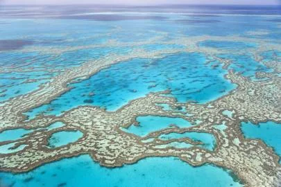 The Great Barrier Reef
