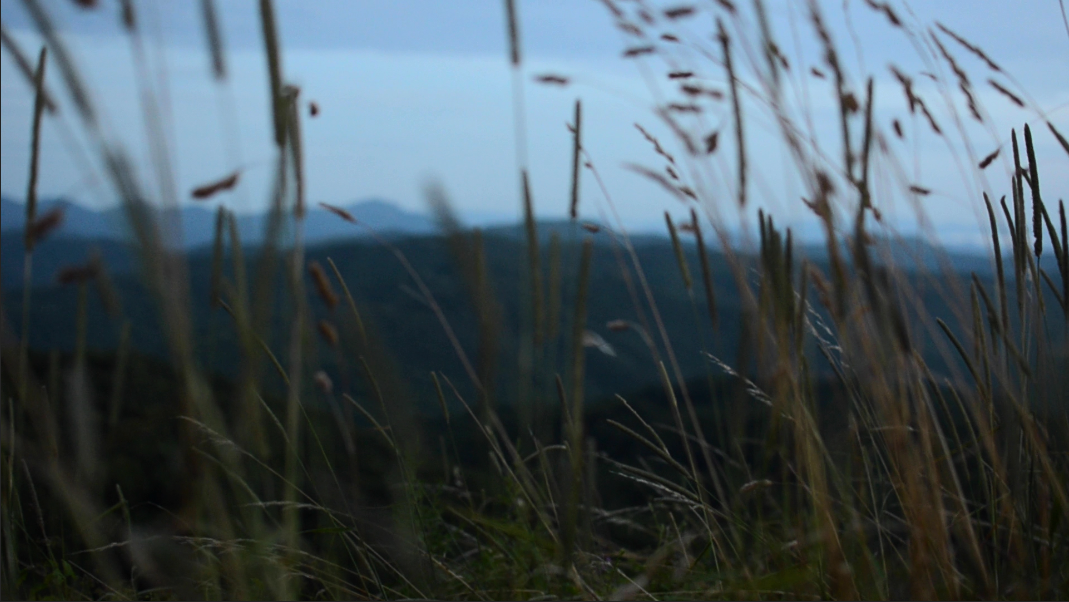 Screen Shot 2019-04-06 at 11.29.16 AM.png