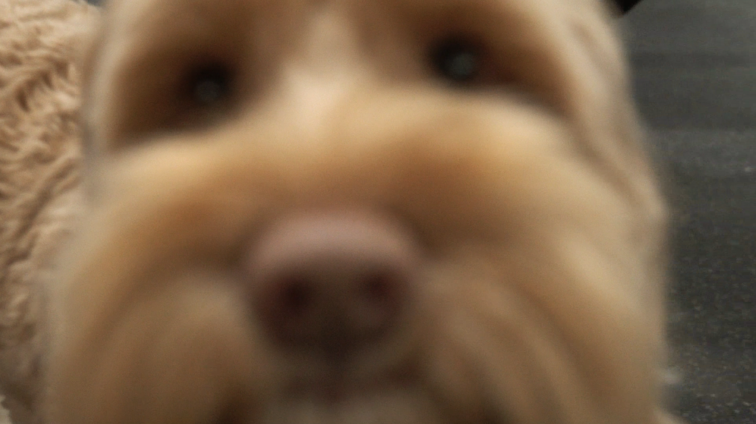 Screenshot 2025-08-05 at 9.12.55 PM.png