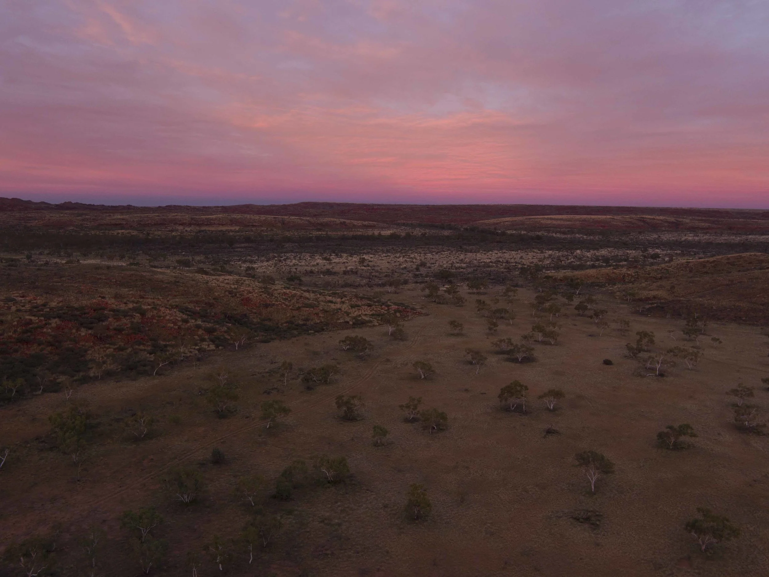 DJI_0030.jpg