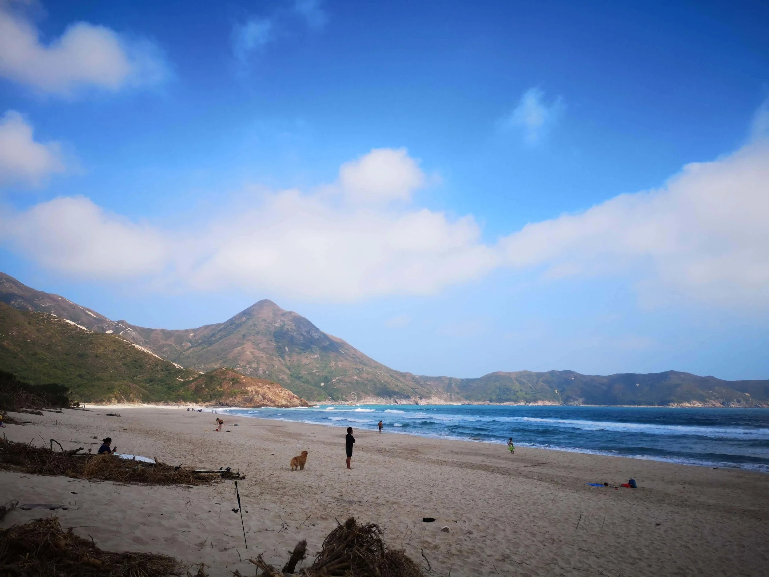 pak tam au to ham tin