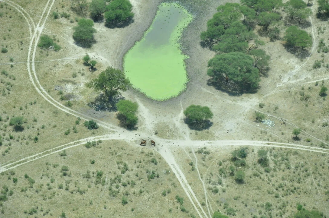 okavango delta