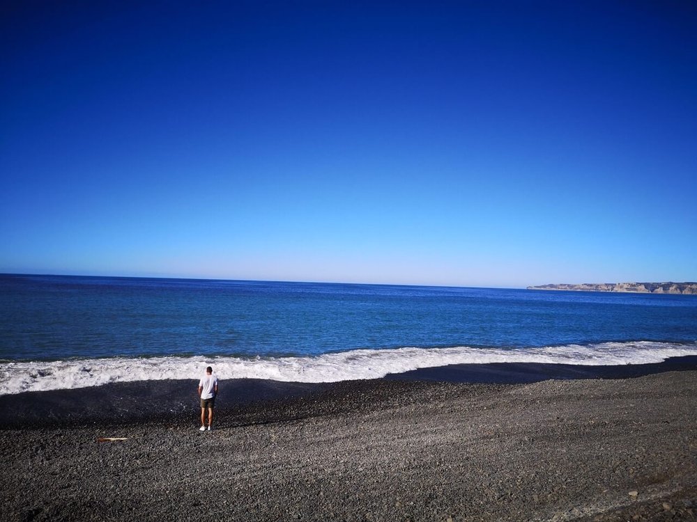 napier beach