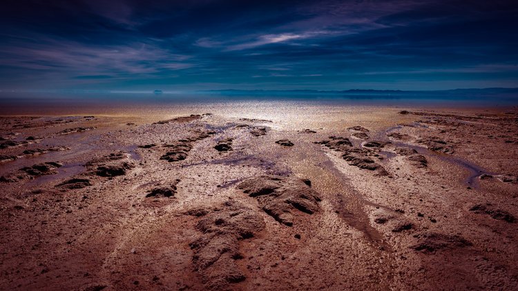 SaltonSea-7.jpeg