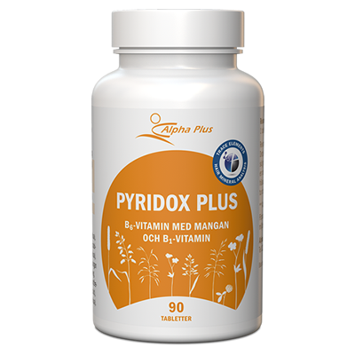 Pyridox_plus_90_kap.png