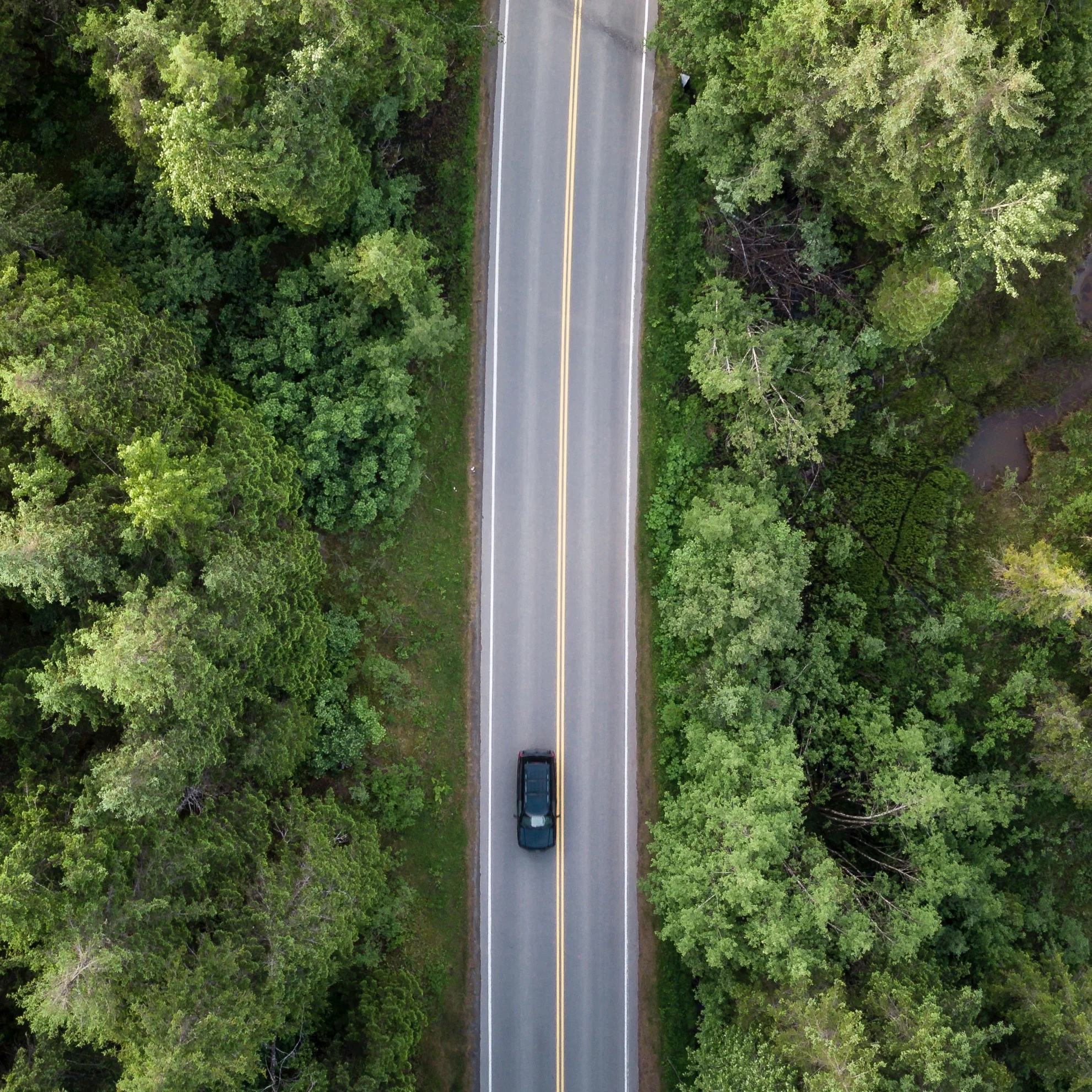 road.jpg
