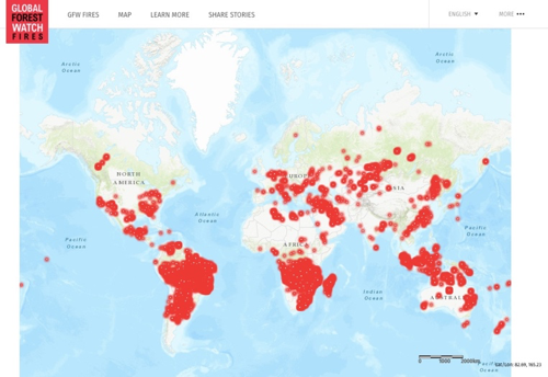 Worldwide forest fires: Live from 21st of September