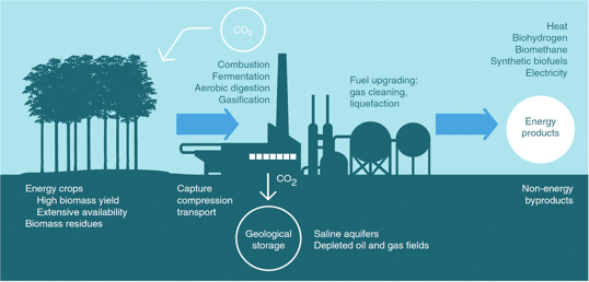 Carbon capture; an alternative renewable energy source.