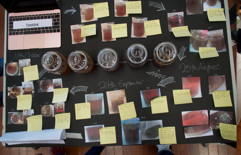  Presentation of a project about the effects that the amounts of concentration of black tea in kombucha may have on its longevity // Image Credits: Nathaniel John 