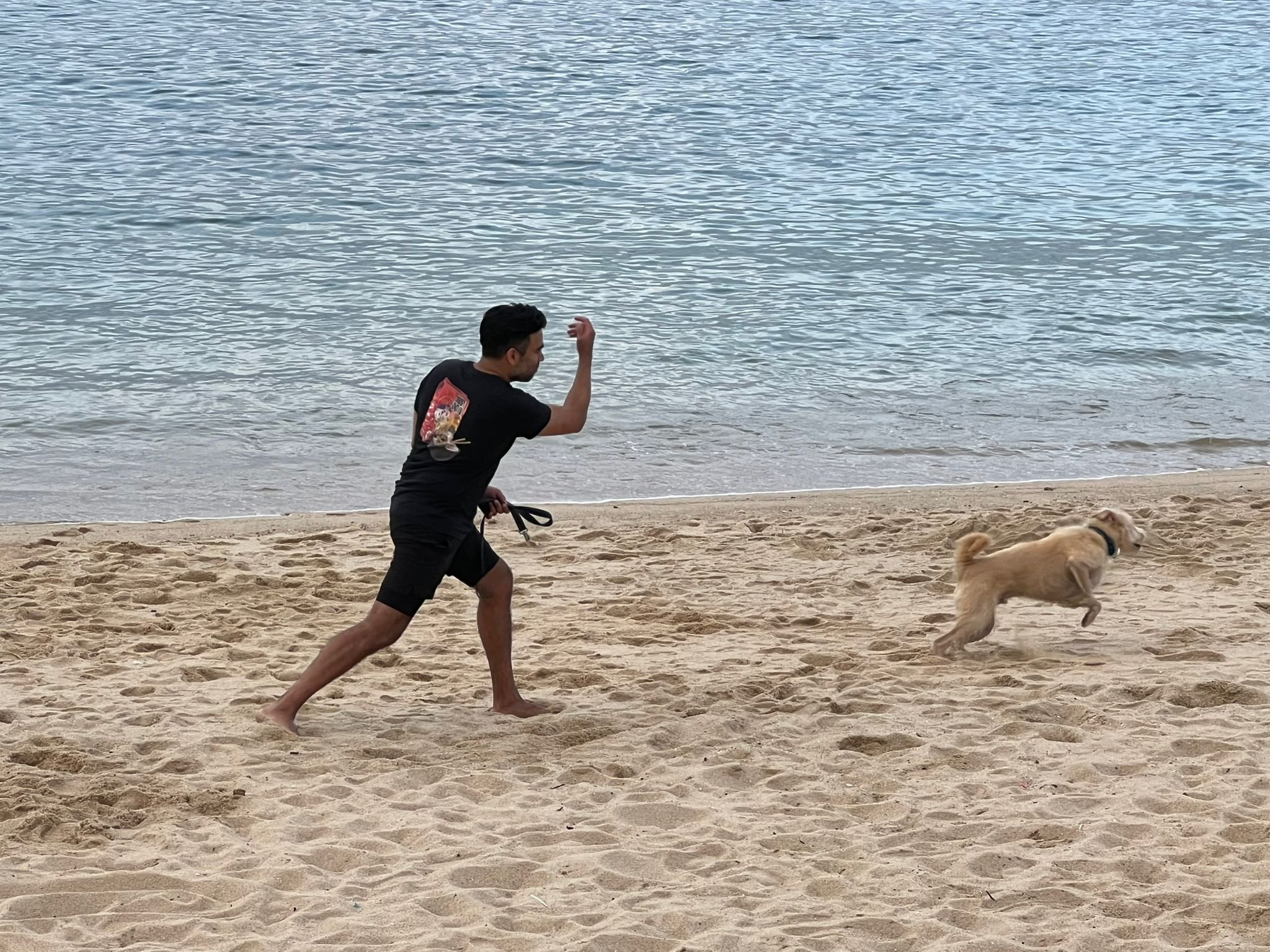 Mr Moran's memorandum