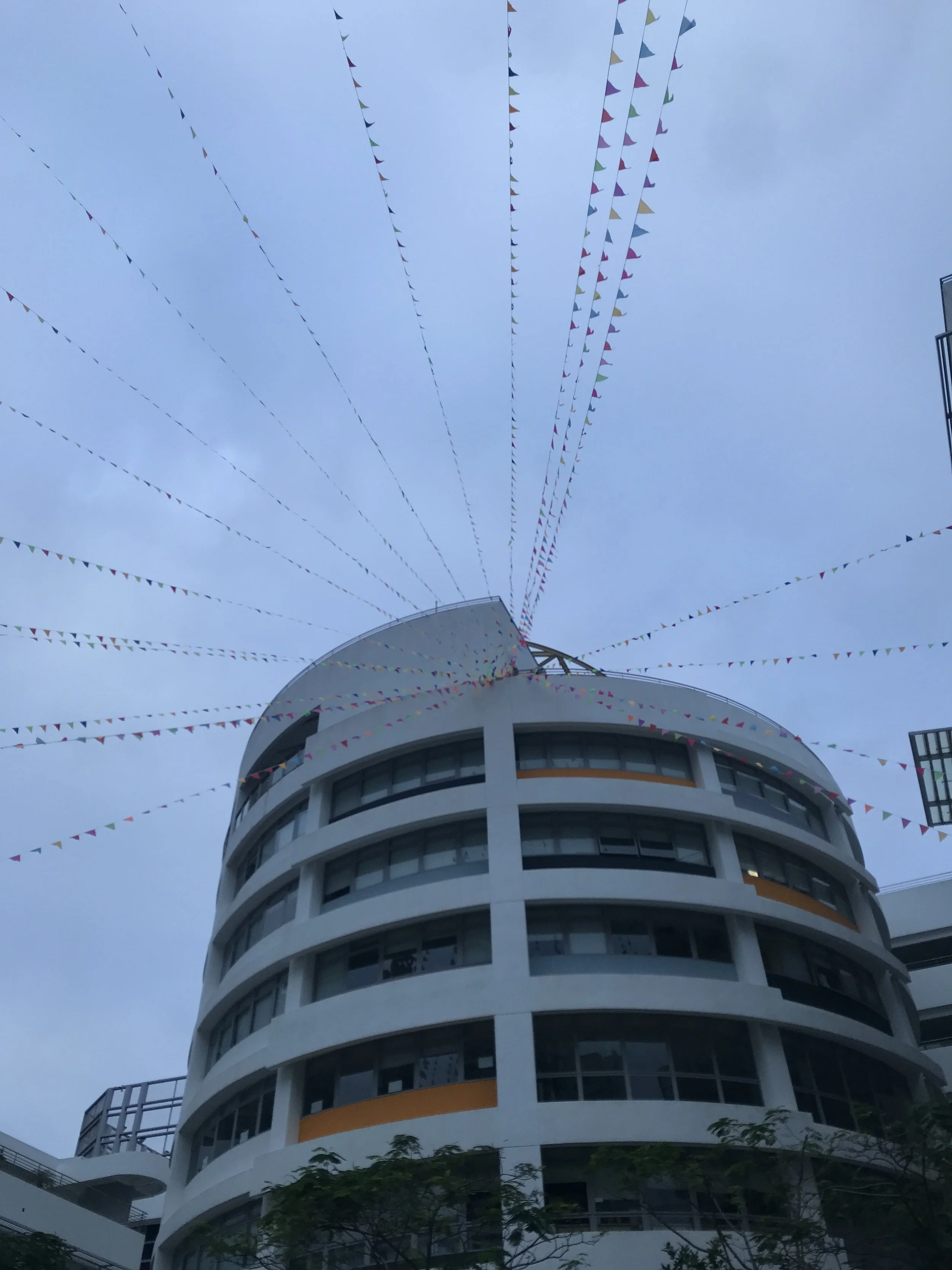 What is the difference between local schools and international schools?