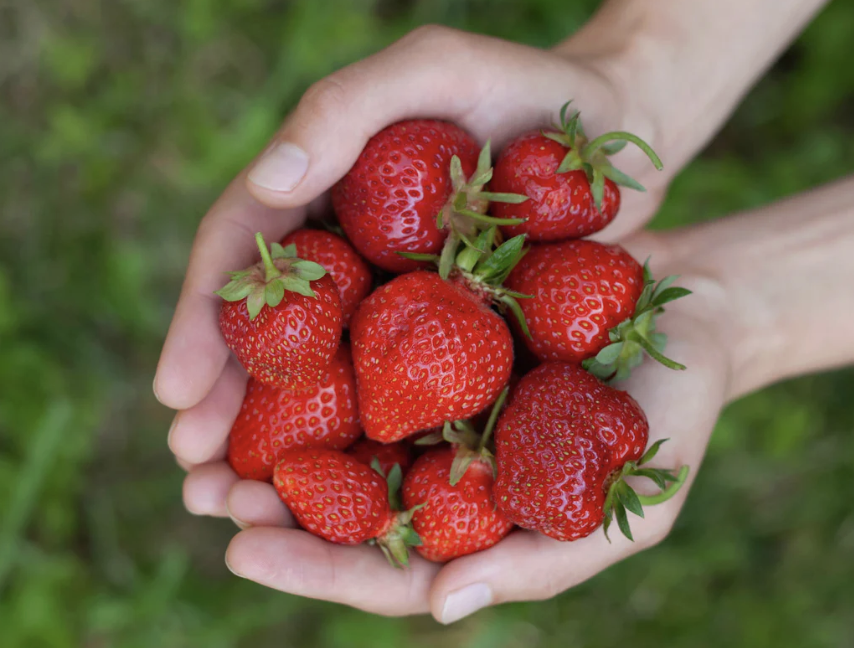 “Berry” fresh news!