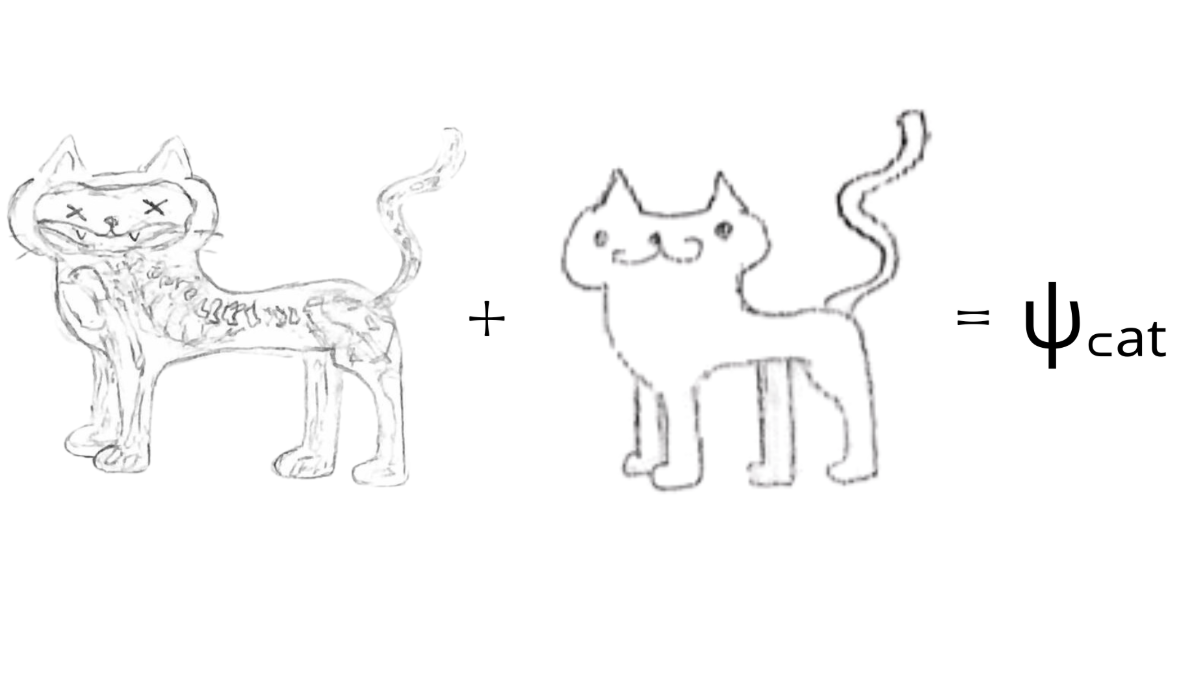 Schrödinger’s cat is wrong!