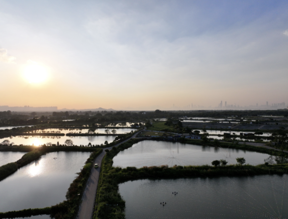 Design of New Wetland Parks Balances Sustainability and Economic Development