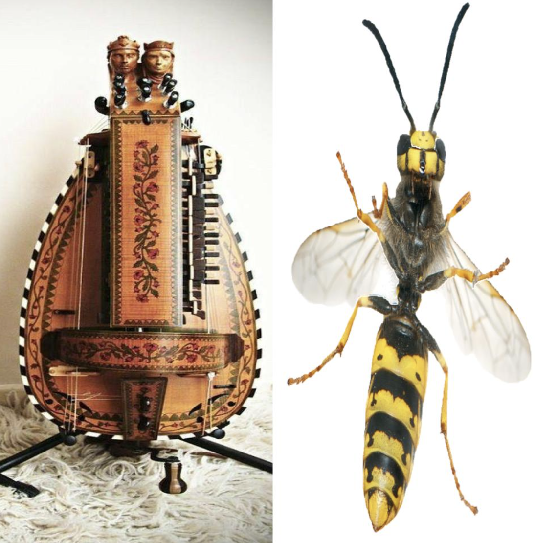 Musicology and environmental philosophy: How did they dream of these instruments?! 