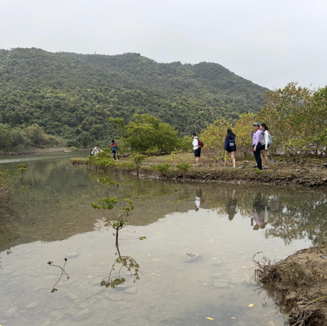 Diving deeper into Hong Kong Biodiversity - HKU collaborates with ESF