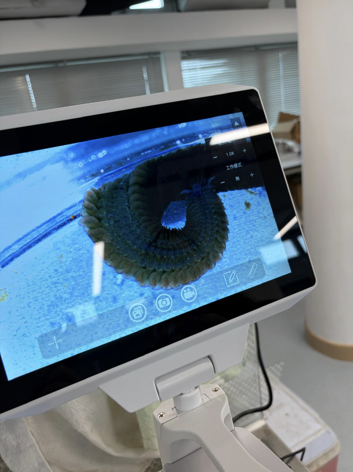 Digital Microscope