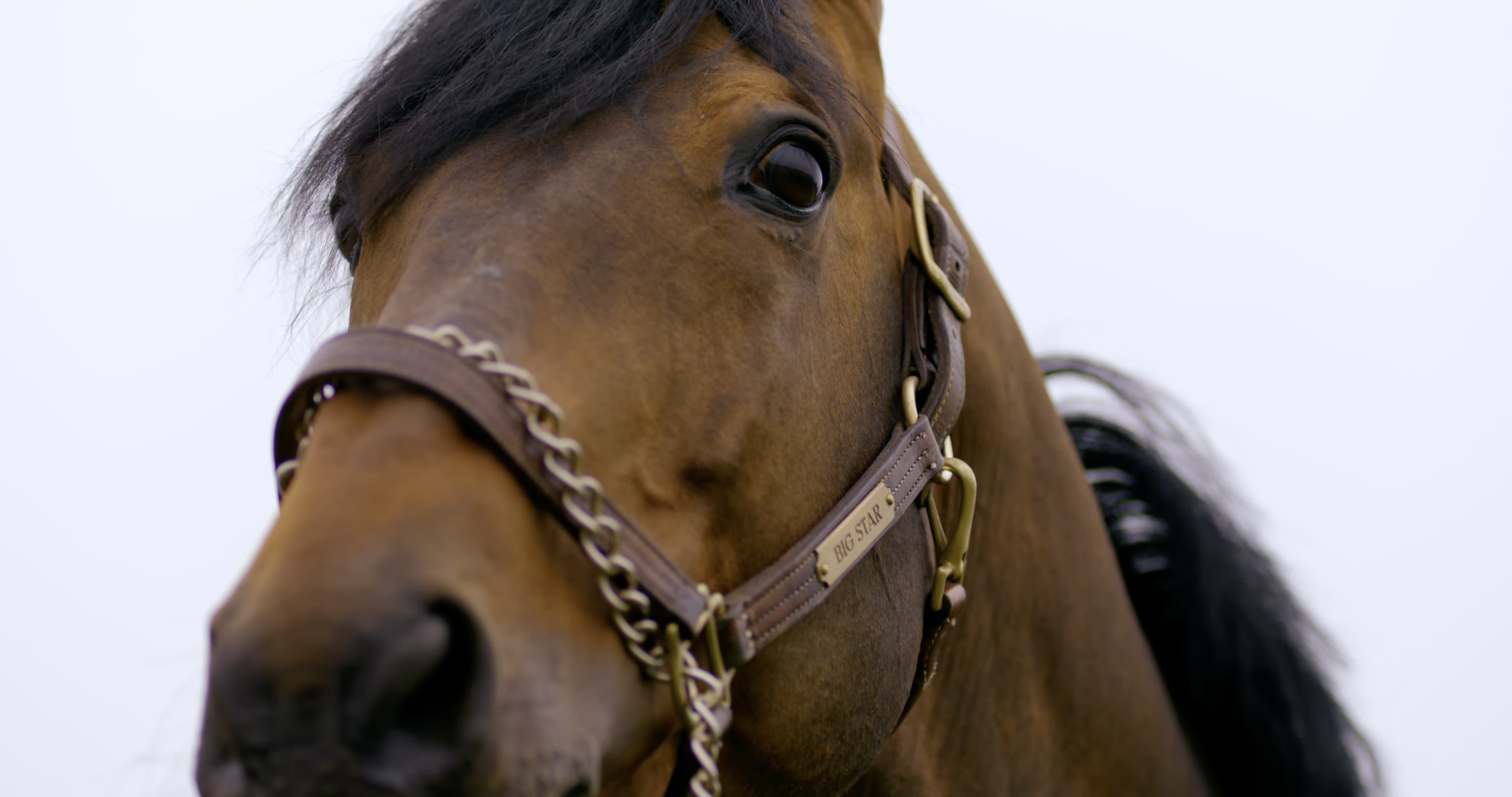 ‘Big Star: The Nick Skelton Story’ - Sound Design + Mix Assistance