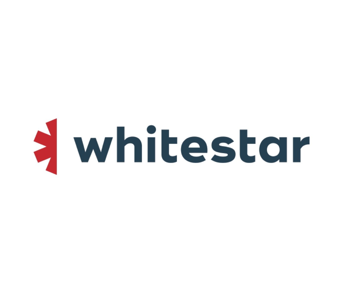 zezo energizer_whitestar logo.jpg