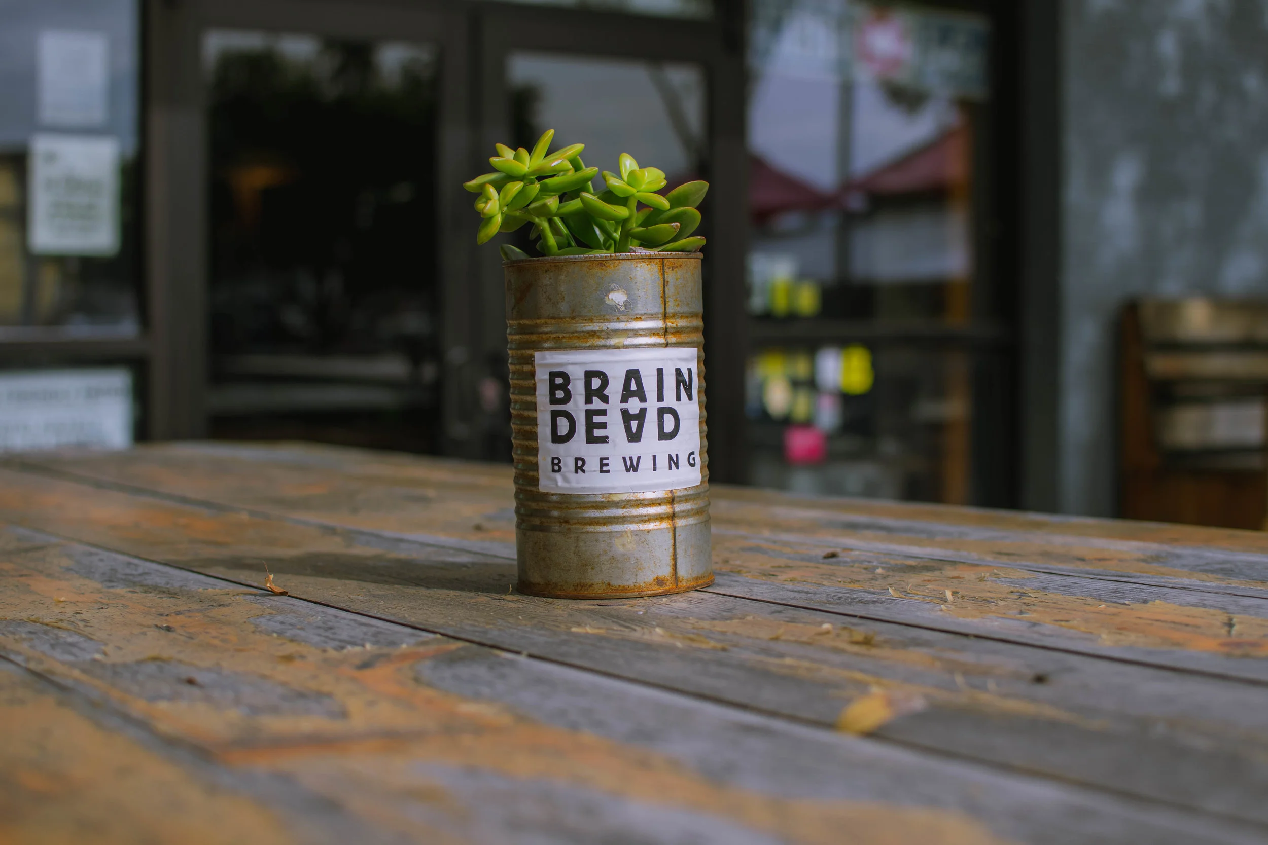 BrainDead Brewing