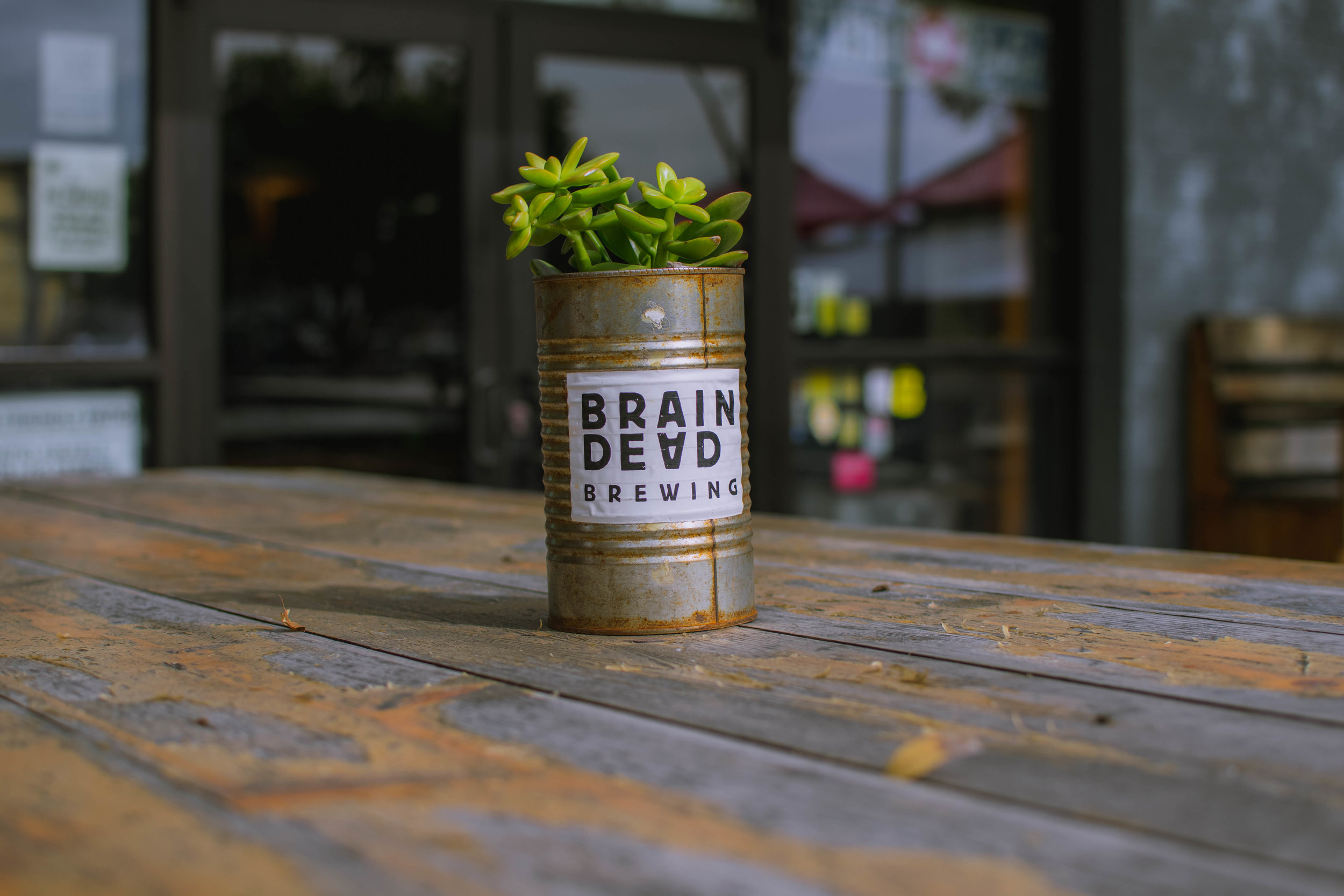 Braindead Brewing 