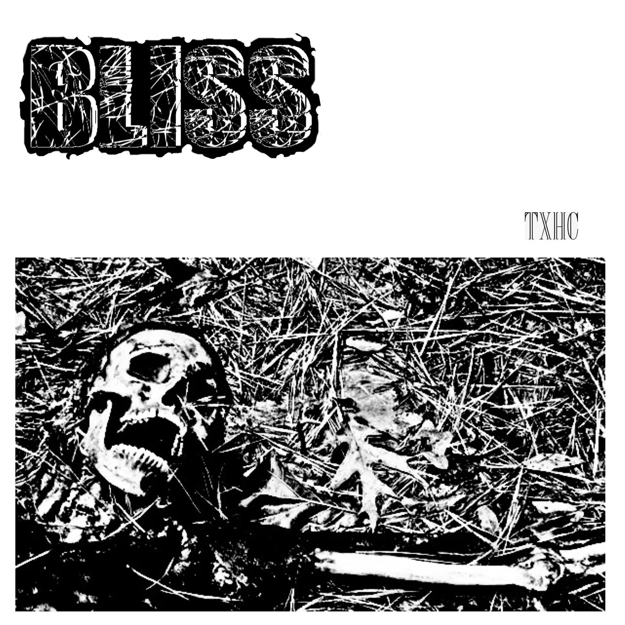 Dallas Hardcore band BLISS newly released demo