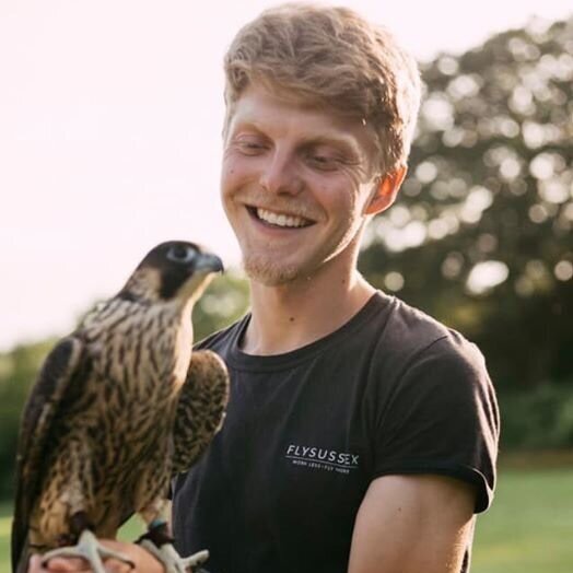 Tiger Cox - Walk, Talk, Kite-making and Falcons as part of the Newhaven Festival.  Book places  at Newhavenfestival.co.uk
@tigerswildlife
#newhavenfestival #egretswayart #kitemaking #falcons