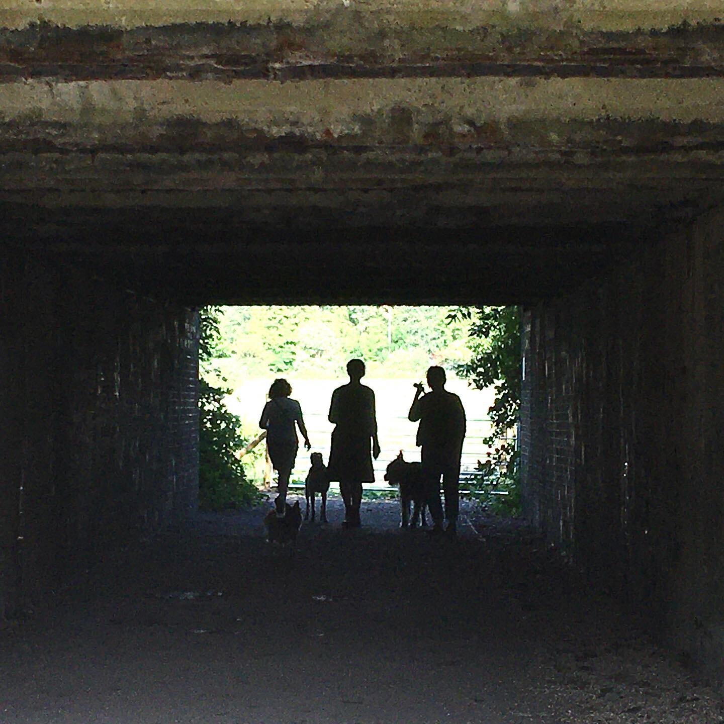 Happy dog walkers using the new Egrets Way tunnel linking the Railway Land to Ham Lane. @egretsway #egretsway #egretswayart #artboxoriginals #landscape #photography #railwaylandlewes #landscapephotography #egretswaydogs