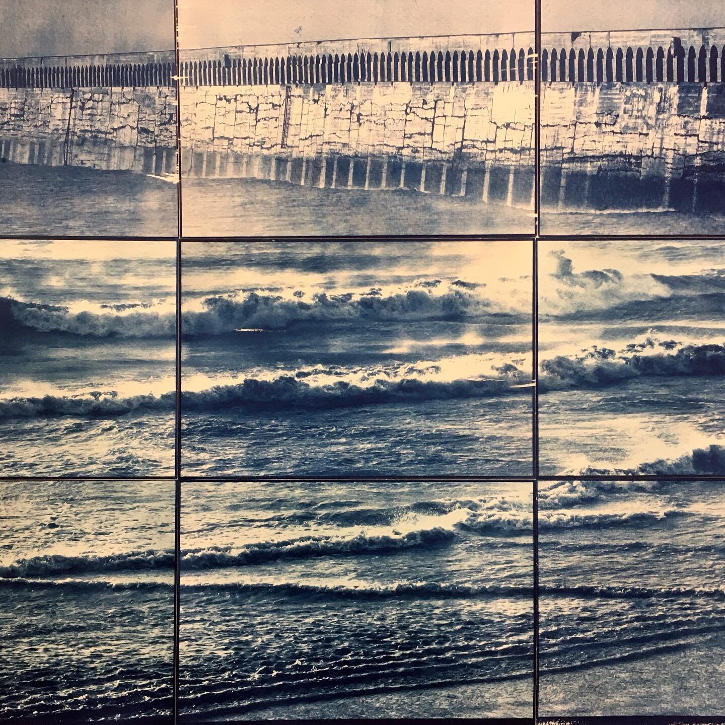 The amazing hand printed cyanotypes of Carlotta Luke exhibited in Lewes alongside the work of Kelly Hall as part of the Artwave festival.  @carlottaluke  #egretswayart #cyanotype #alternativephotography #sussexlandscape #seascapes #newhaven #westbeac