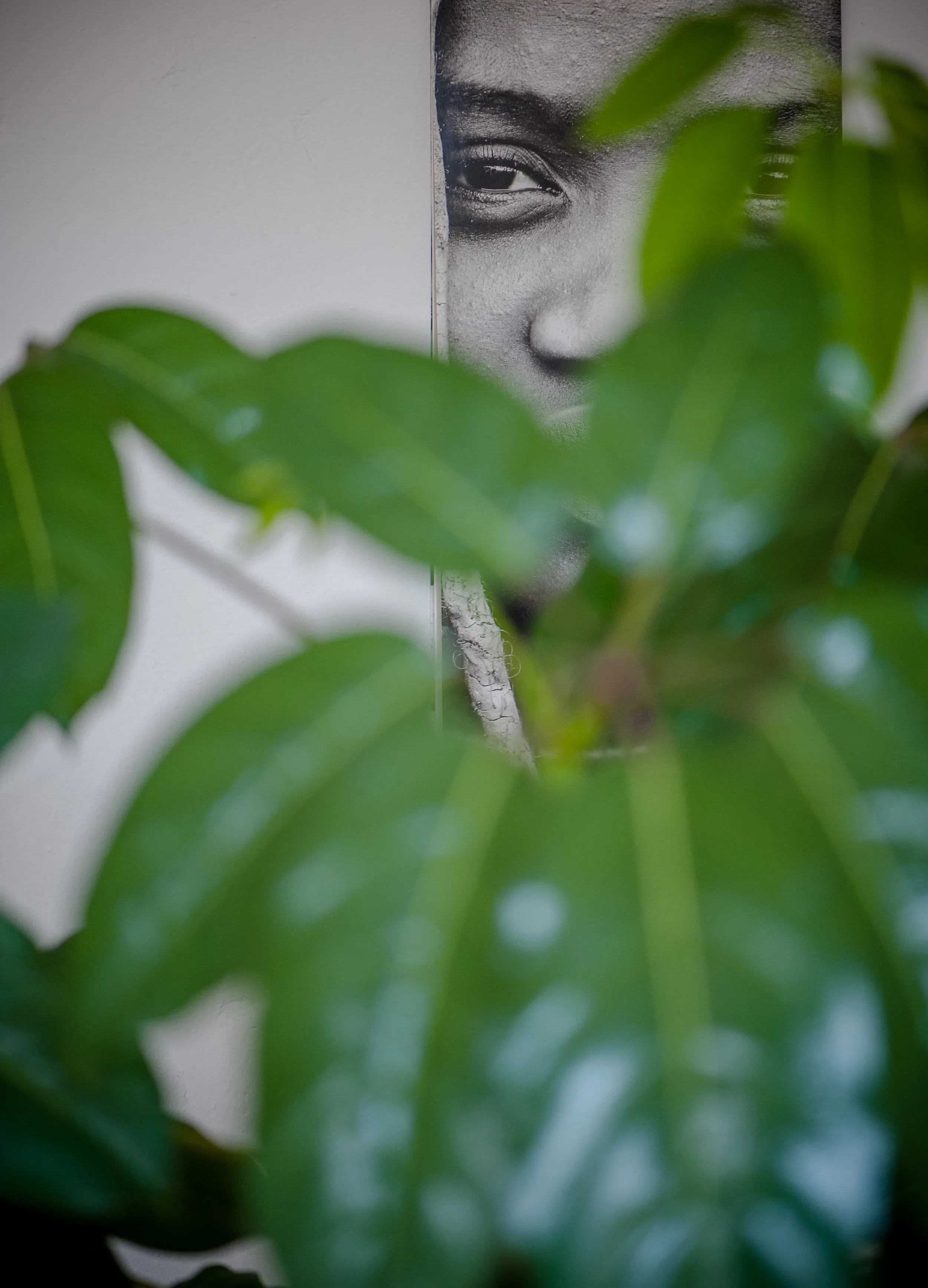 international-psychotherapy-berlin-discover.jpg