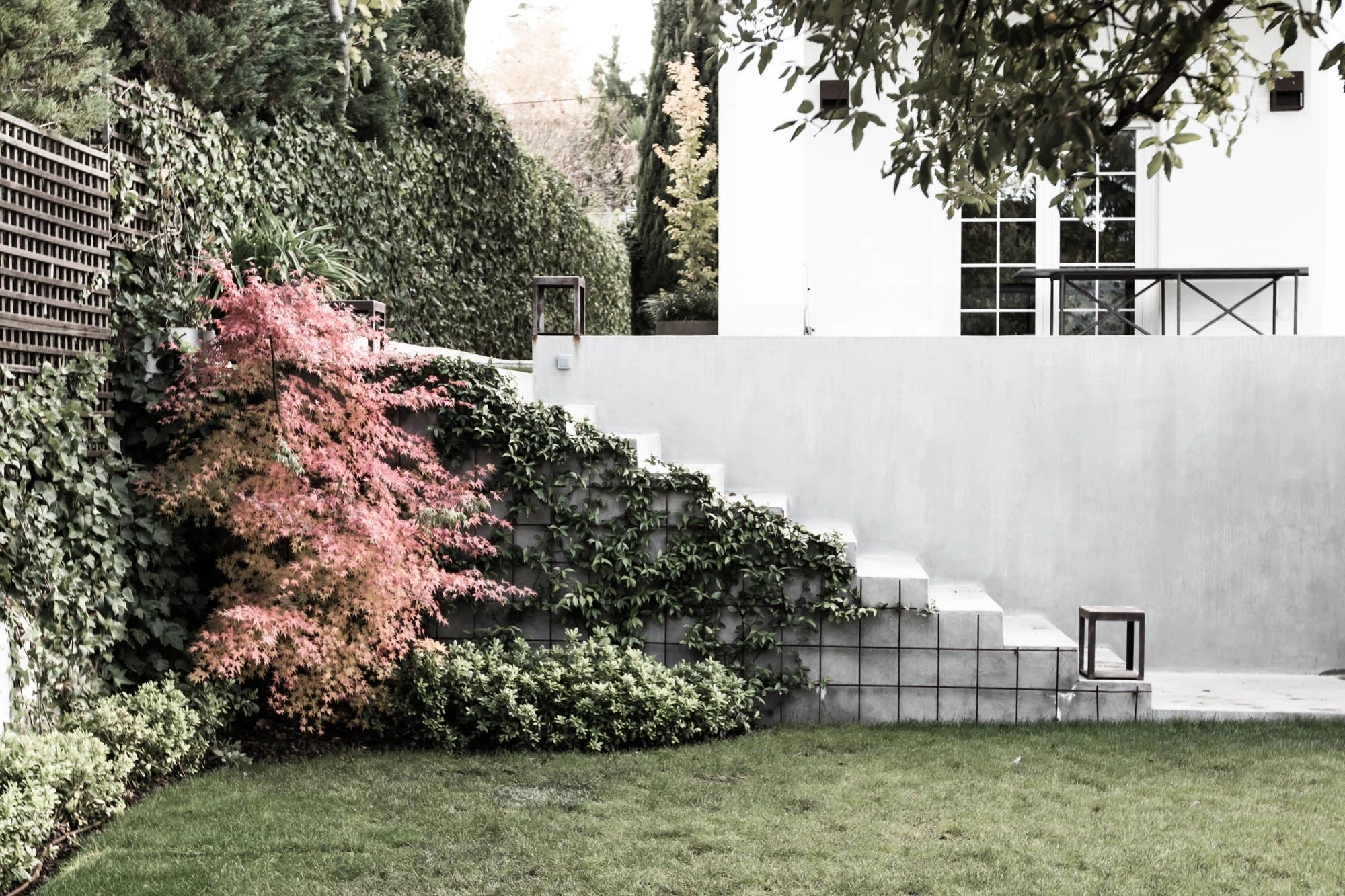 Mirasierra-7.jpg