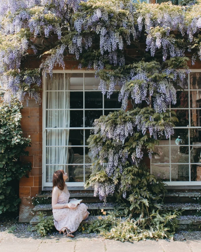 cotonmanor-1.jpg
