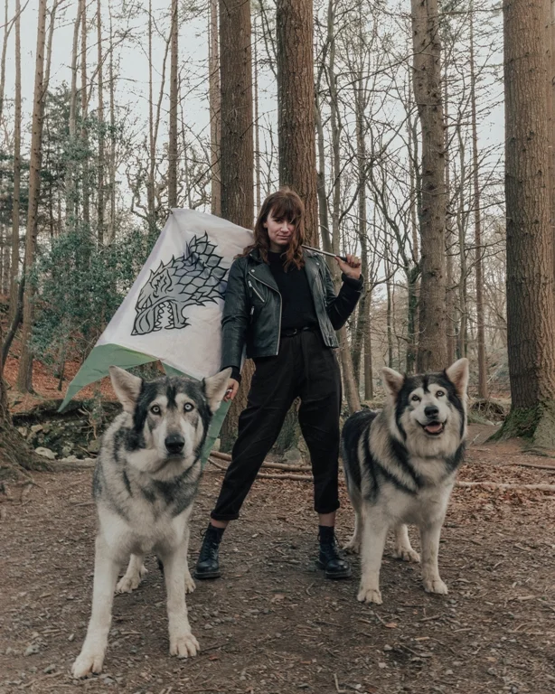 direwolves game of thrones.jpg