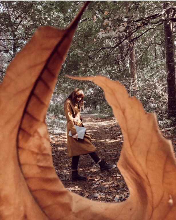 autumn feeds.jpg