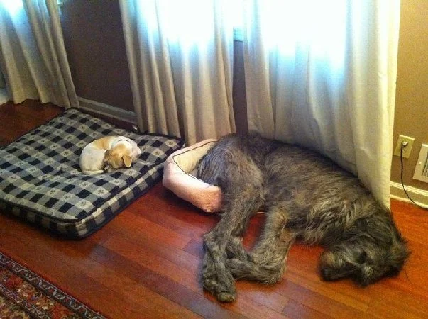 Ever woken up on the wrong side of the bed?