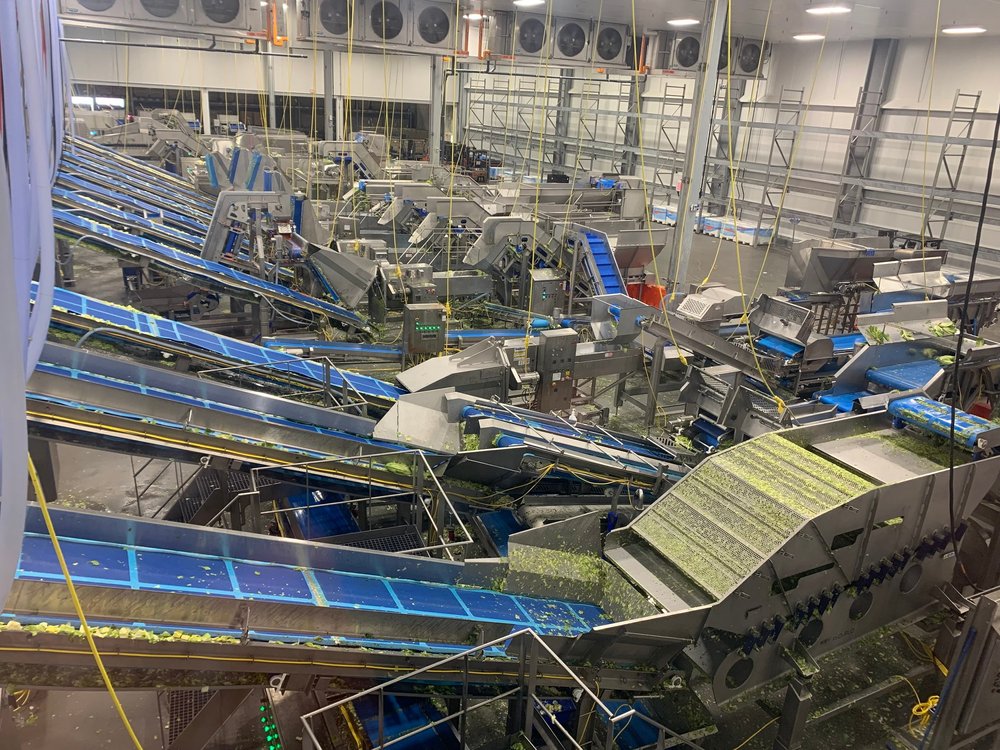 Lettuce processing and cleaning plant at Taylor Farms, in the “Salad Bowl of the World”, Salinas, CA.