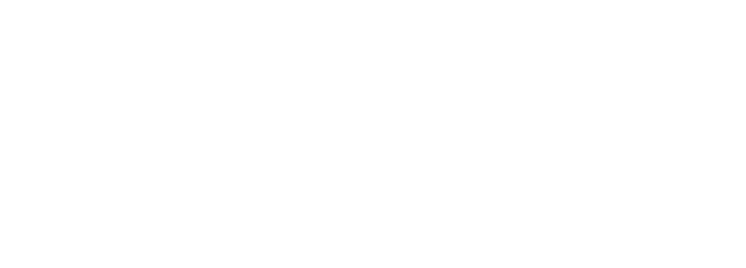 Weise Water GmbH DE