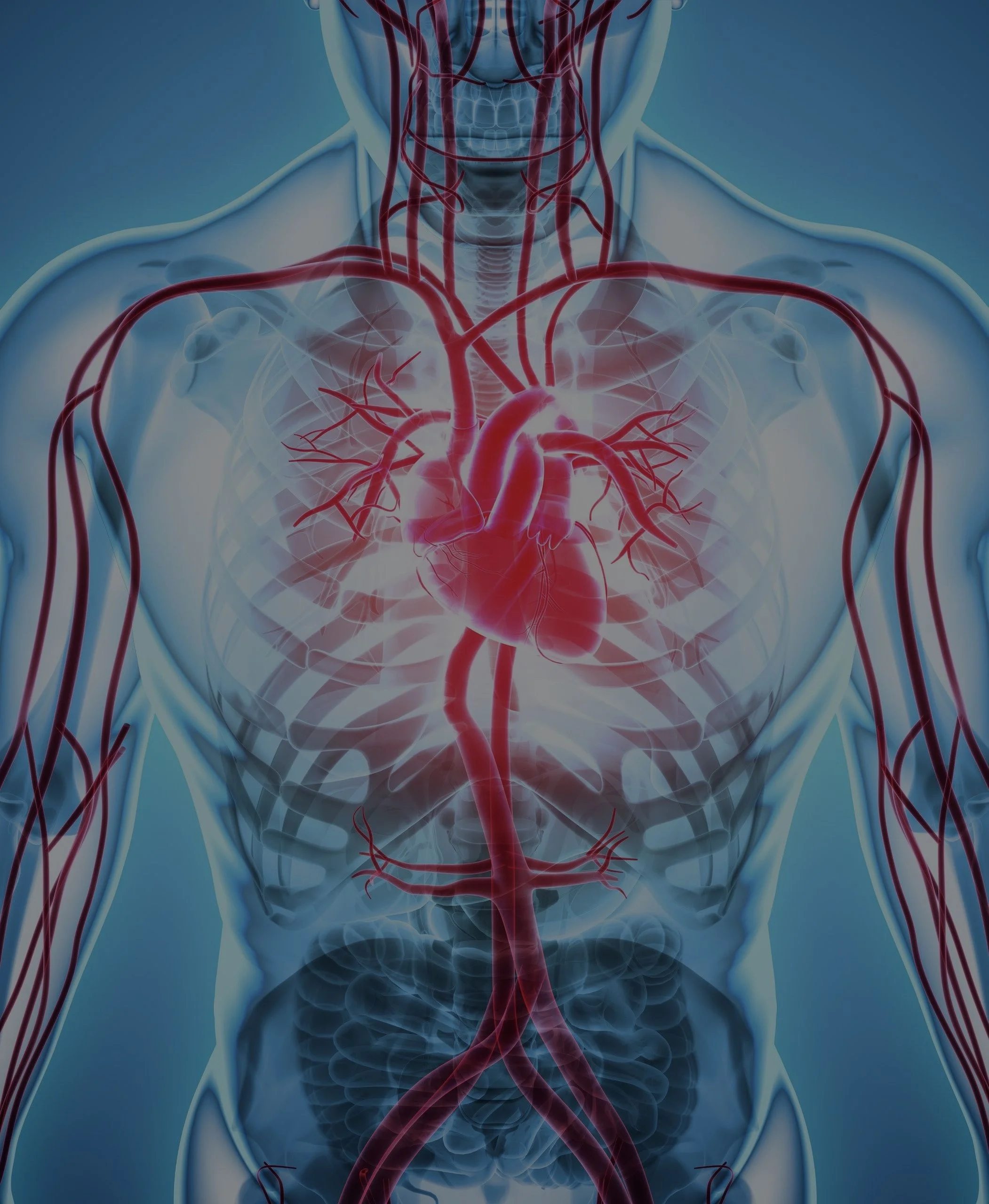 Background copy.jpeg