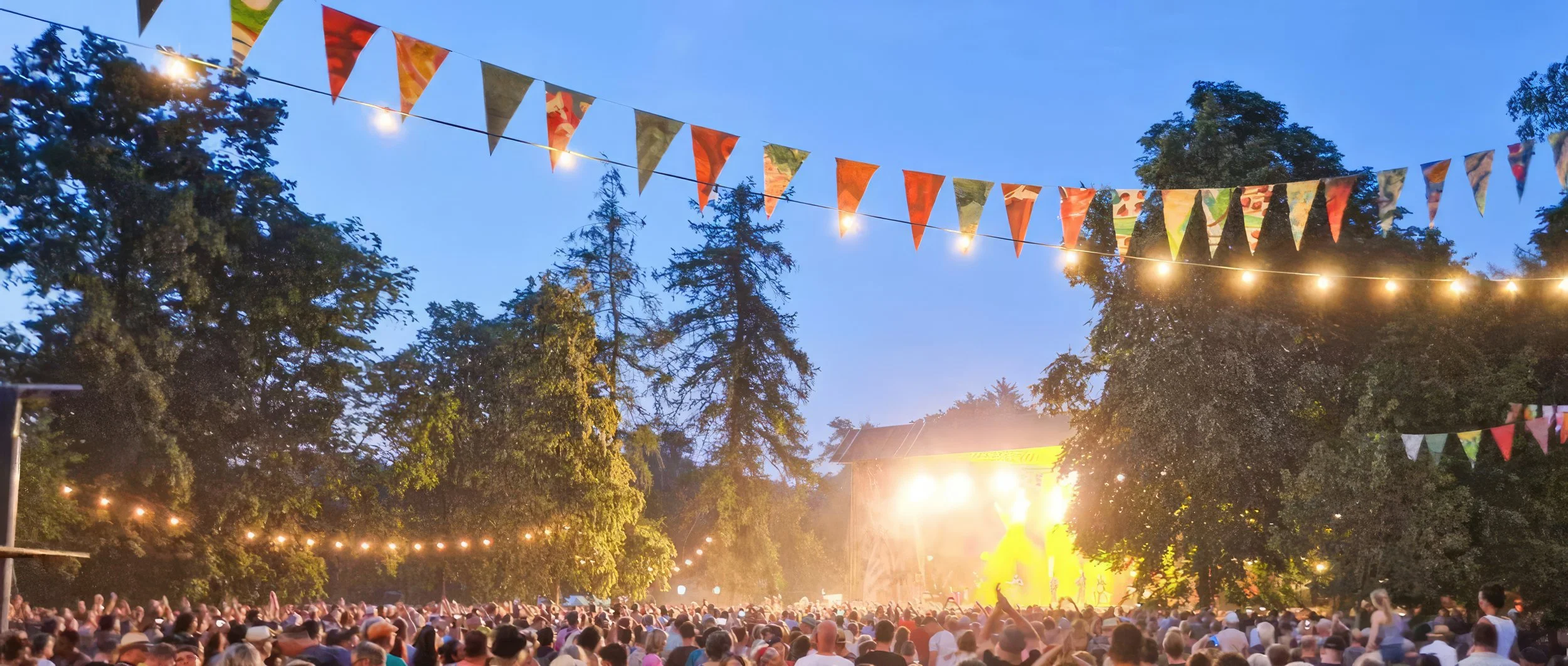 Rudolstadt Festival