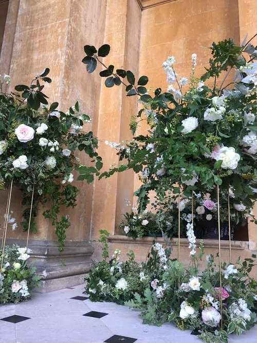 Willow Crossley