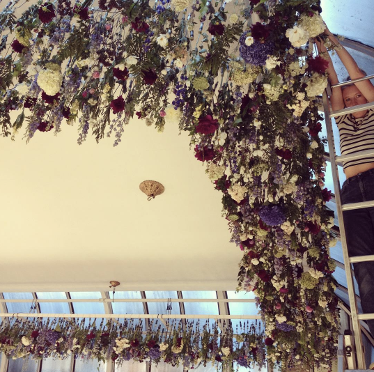 The Flower Appreciation Society