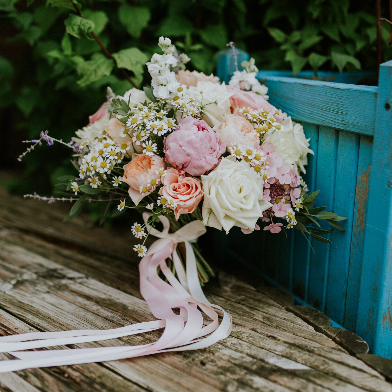 Image by Sophie Collins Photography