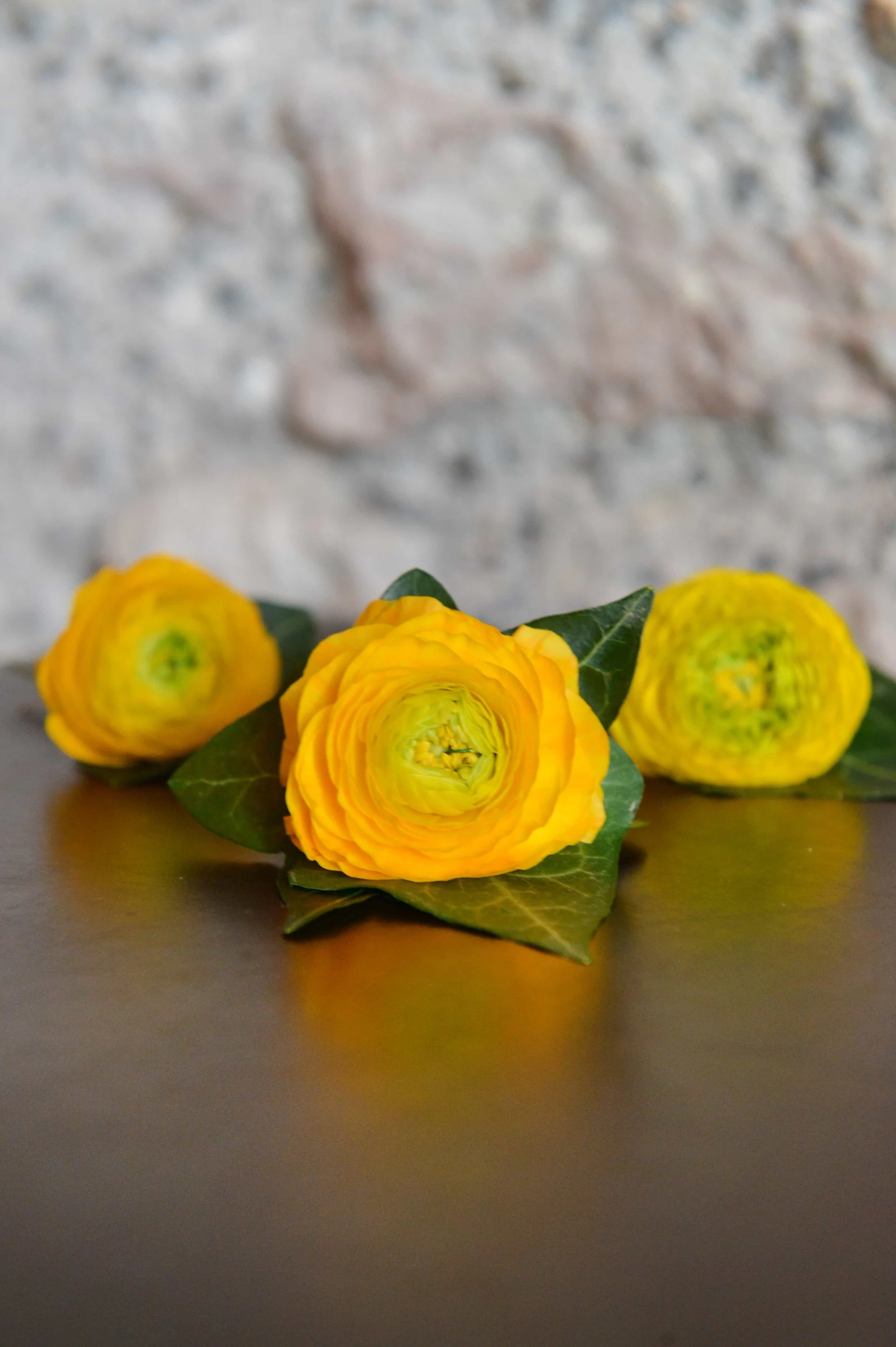 Ranunculus buttonholes.JPG