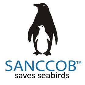 Sanccob Saves Seabirds Ripleys Aquarium.jpg